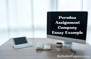 Free Perodua Assignment Company Essay Example