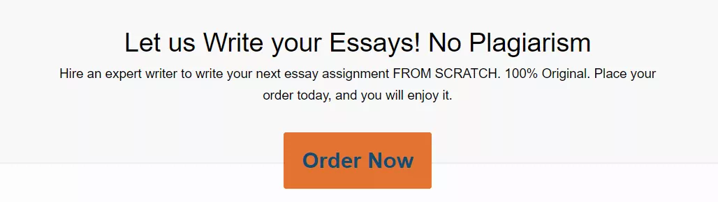 Let us write your essay no plagiarism