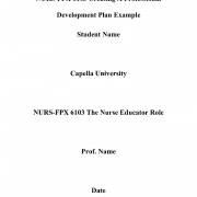 NURS FPX 6103 Assessment 4 Creating A Professional Development Plan
