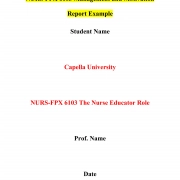 NURS FPX 6105 Assessment 2 Management and Motivation Report