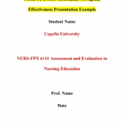 NURS FPX 6111 Assessment 4 Program Effectiveness Presentation