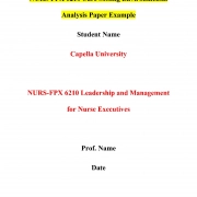 NURS FPX 6210 Assessment 1 Care Setting Environmental Analysis