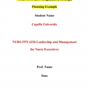 NURS FPX 6210 Assignment 2 Strategic Planning