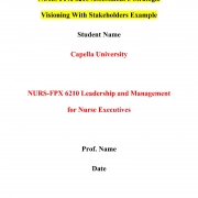 NURS FPX 6210 Assessment 3 Strategic Visioning With Stakeholders
