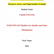 NURS FPX 6212 Assessment 3 Outcome Measures, Issues, and Opportunities