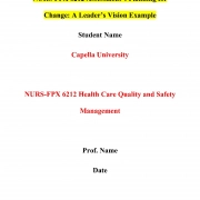 NURS FPX 6212 Assessment 4 Planning for Change: A Leader’s Vision