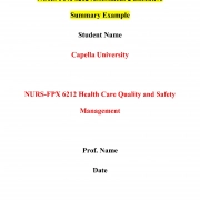NURS FPX 6212 Assessment 2 Executive Summary