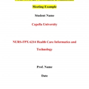 NURS FPX 6214 Assessment 2 Stakeholder Meeting
