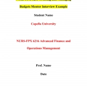 NURS FPX 6216 Assessment 1 Instructions: Mentor Interview