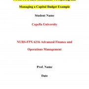 NURS FPX 6216 Assessment 4 Preparing and Managing a Capital Budget