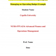 NURS FPX 6216 Assessment 2 Preparing and Managing an Operating Budget