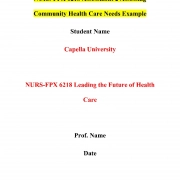 NURS FPX 6218 Assessment 2 Assessing Community Health Care Needs