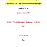 NURS FPX 6218 Assessment 3 Planning for Community and Organizational Change