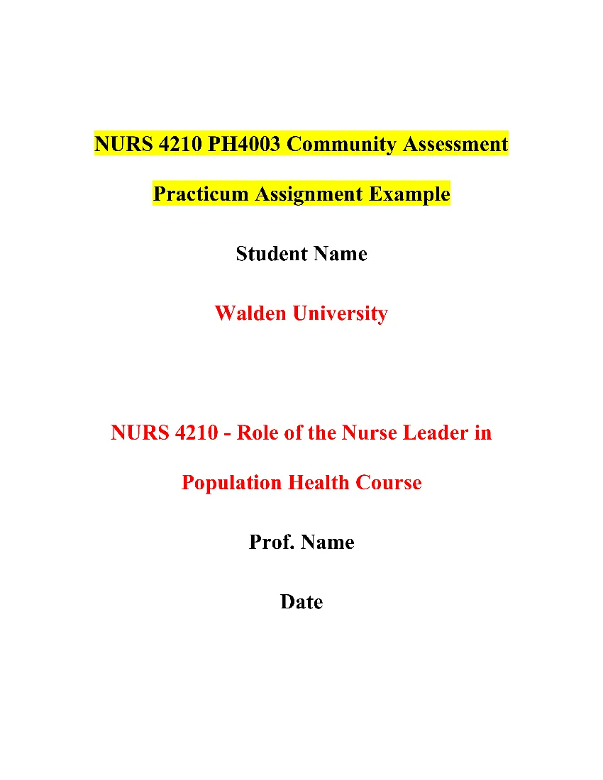 NURS 4210 PH4003 Community Assessment Practicum Assignment
