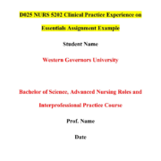 D025 NURS 5202 Clinical Practice Experience on Essentials Assignment