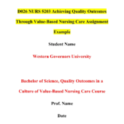 D026 NURS 5203 Achieving Quality Outcomes Through Value-Based Nursing Care Assignment