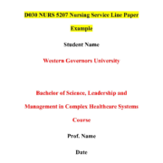 D030 NURS 5207 Nursing Service Line Paper Assignment