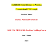 NGR 5700 Moral Distress in Nursing Presentation PPT Example