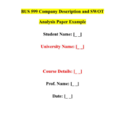 BUS 599 Company Description and SWOT Analysis Paper Example