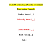 BUS 599 Evaluating a Capital Investment Presentation Example