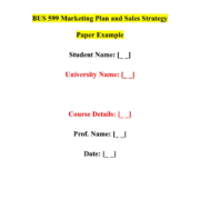 BUS 599 Marketing Plan and Sales Strategy Paper Example