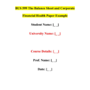 BUS 599 The Balance Sheet and Corporate Financial Health Paper Example