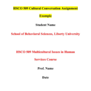 HSCO 509 Cultural Conversation Assignment Example